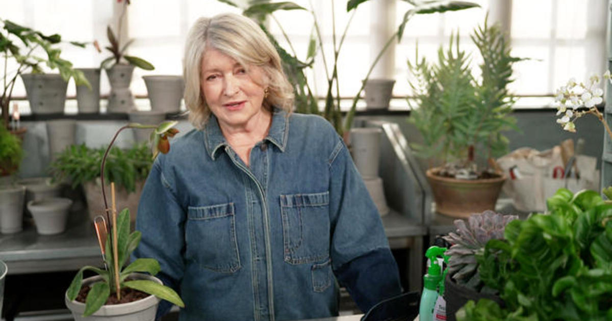 Martha Stewart on conserving houseplants