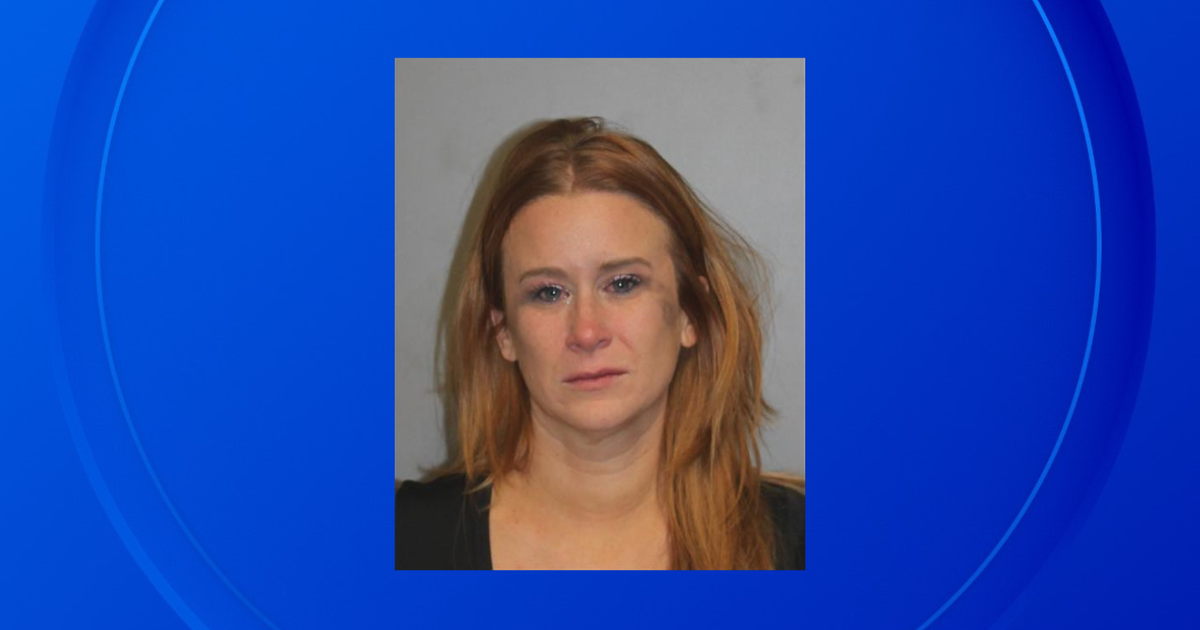 Woman accused of driving while intoxicated, wrong way on Metro Detroit ...
