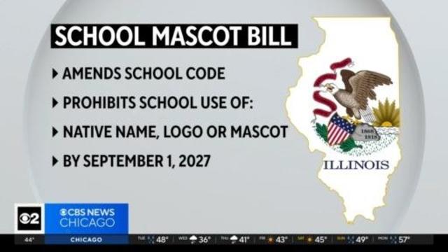 School Mascot Bill.jpg 