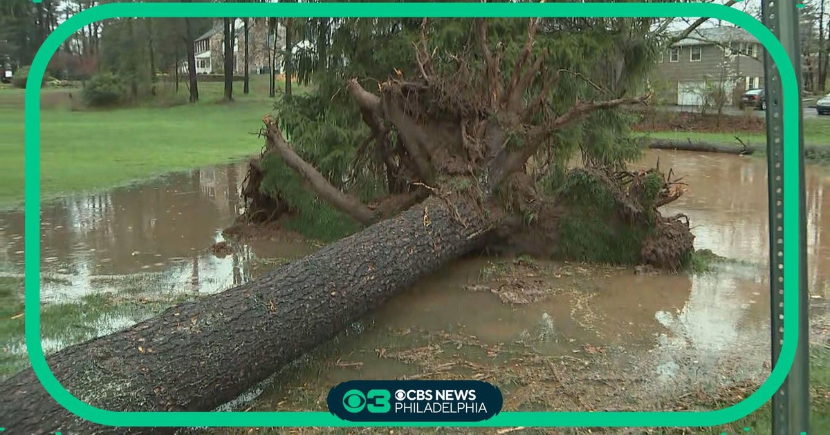 82-year-old woman dies after tree uproots, hits her car during storm in Collegeville, Pennsylvania - CBS Philadelphia