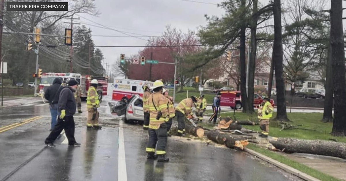 82-year-old woman dies after tree hits her car in Collegeville ...