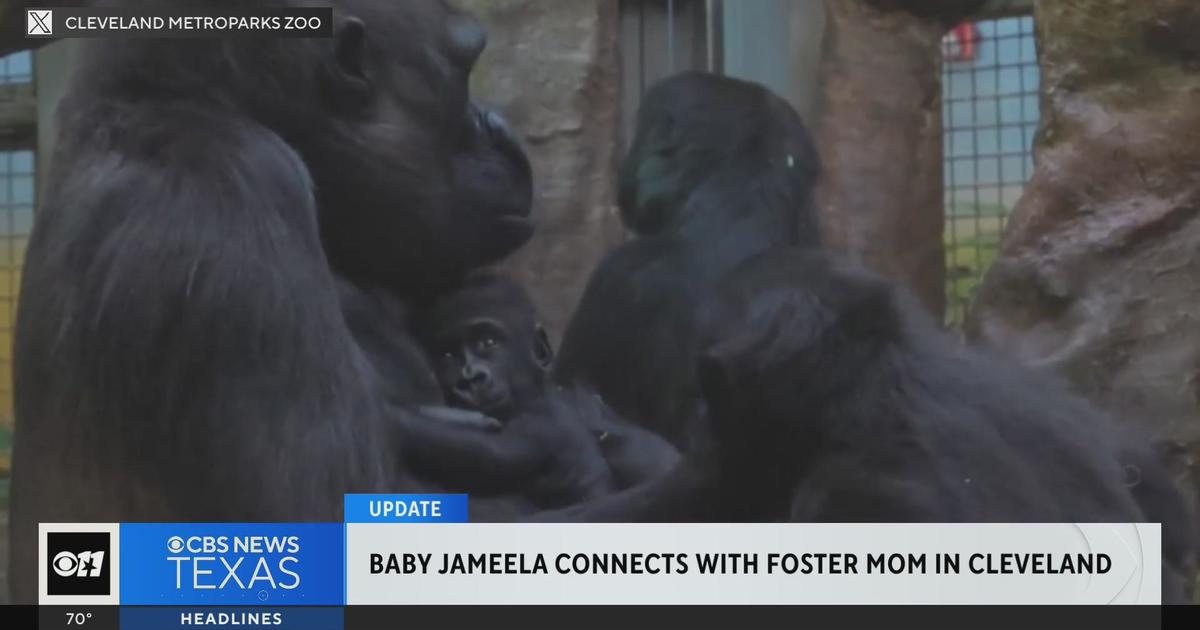Baby Jameela connects with foster mom in Cleveland