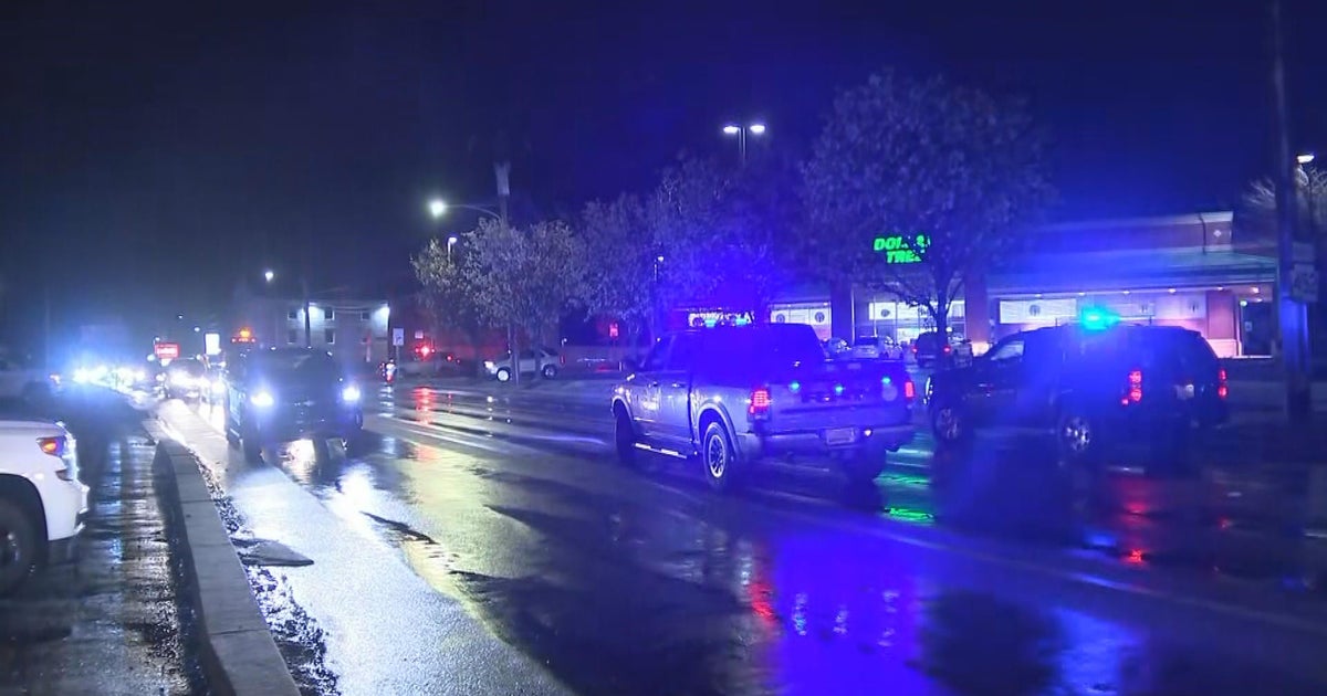 Person dies after tree falls on car in Aston, Pennsylvania: source ...