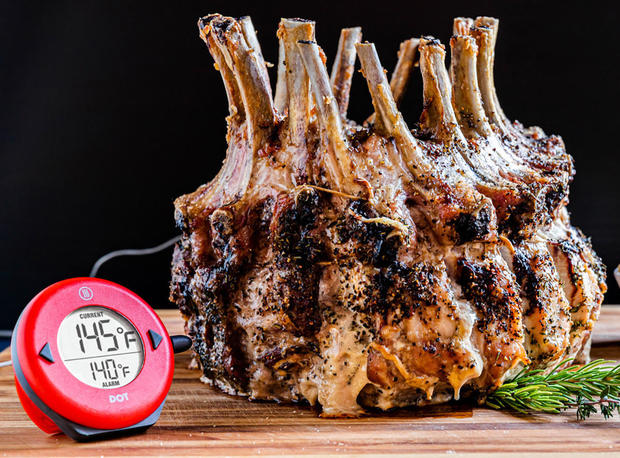The 5 best meat thermometers for 2024 