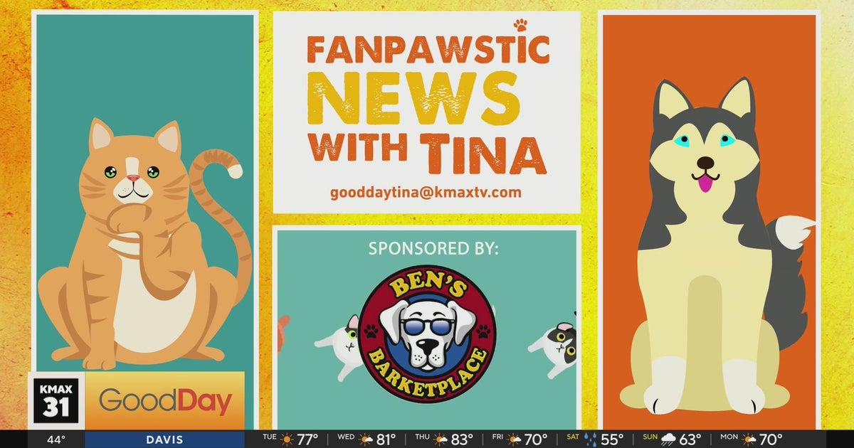FanPAWstic News - Good Day Sacramento