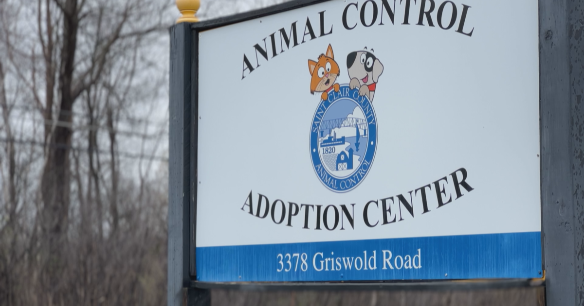 Nearly 80 farm animals have been surrendered to St. Clair County Animal Control