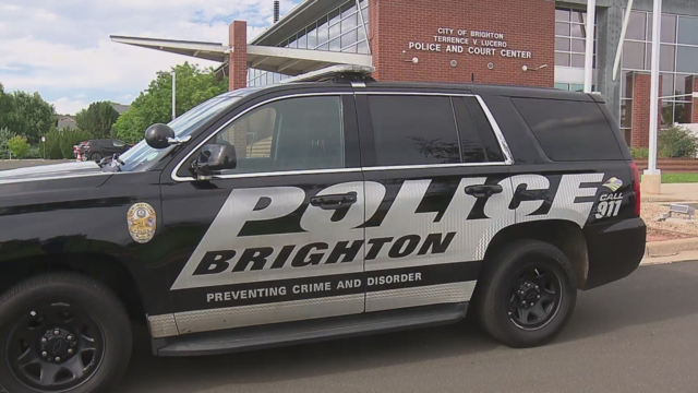 brighton-police.png 