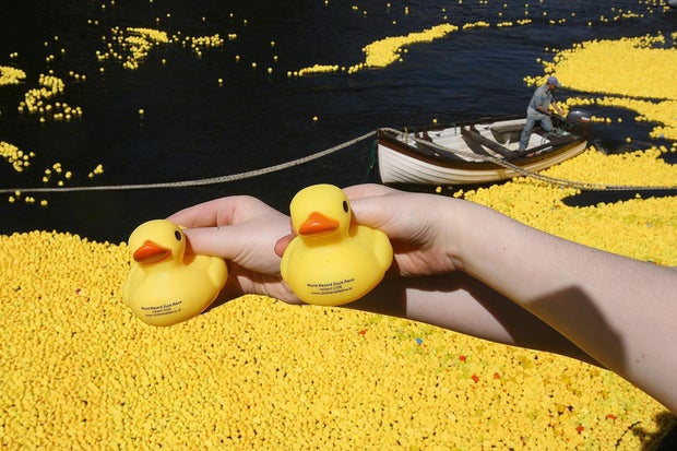 SOCIAL Ducks