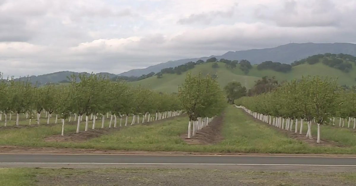Could Solano County lose 75% of its water?
