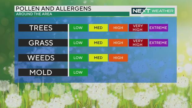 Pollen and allergens, April 17, 2024 