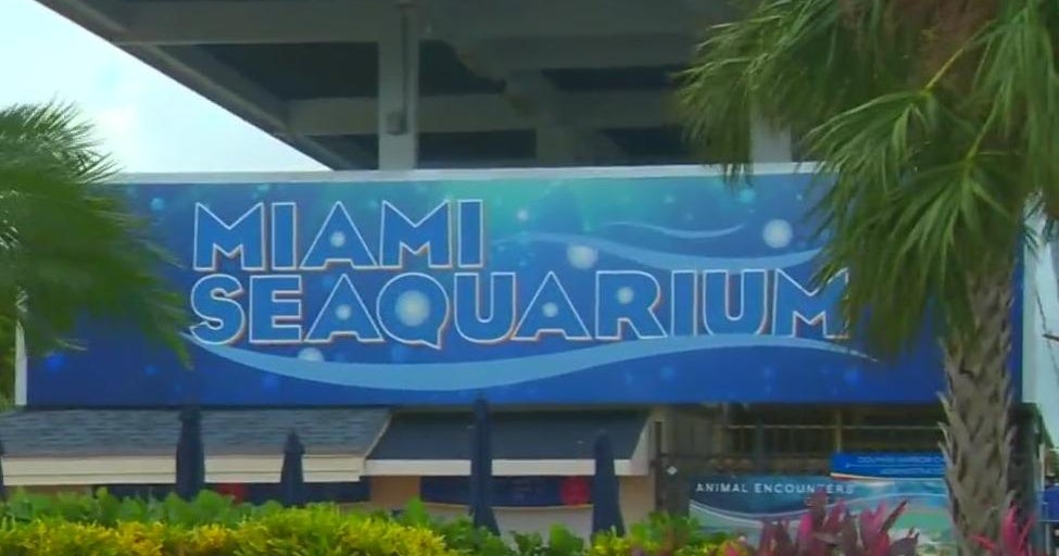 Miami Seaquarium owner getting lawful motion from Miami-Dade as eviction deadline looms