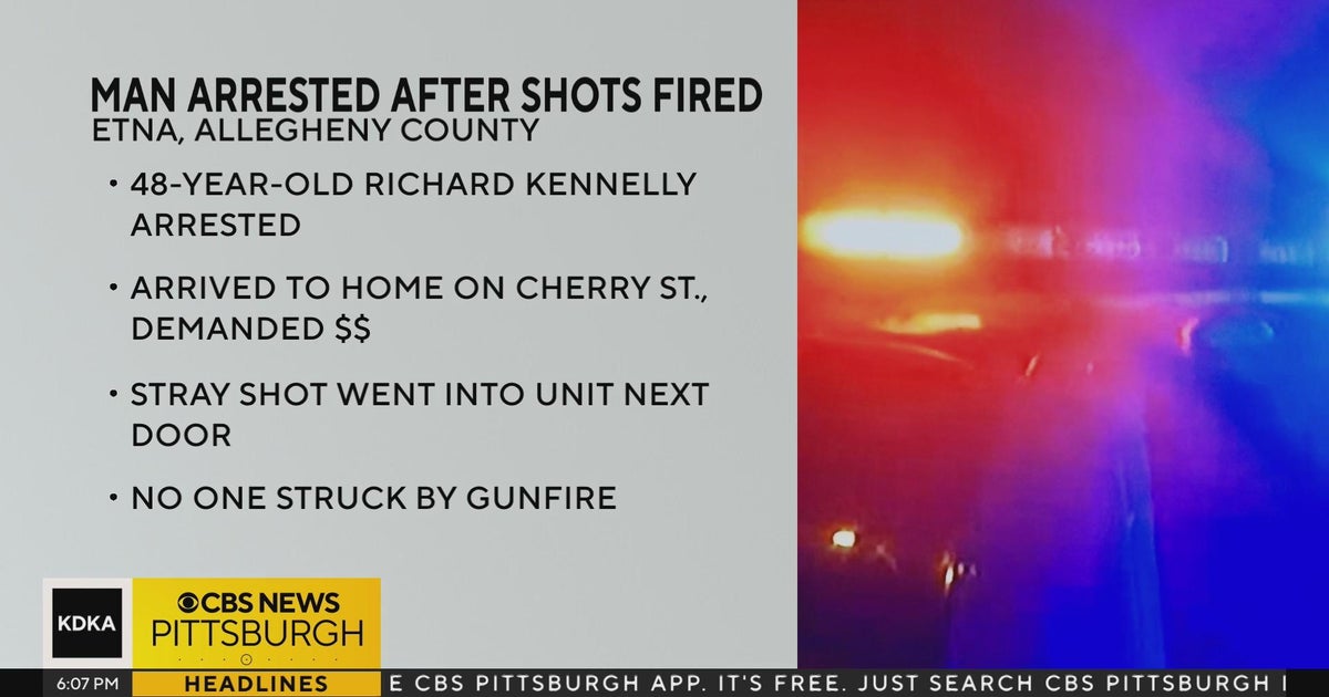 Allegheny County police arrest Etna man following shots-fired incident ...