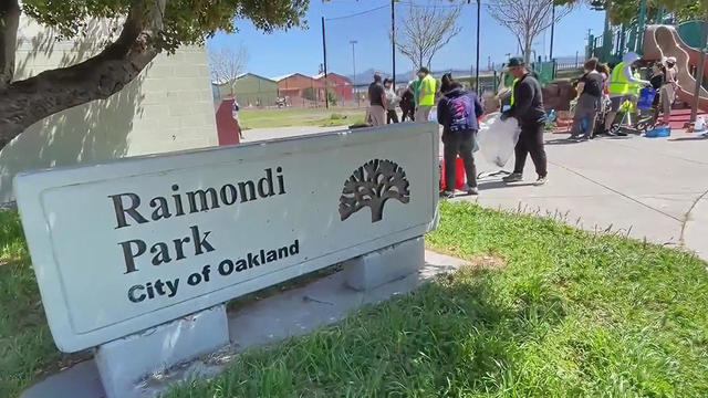 Raimondi Park Cleanup 
