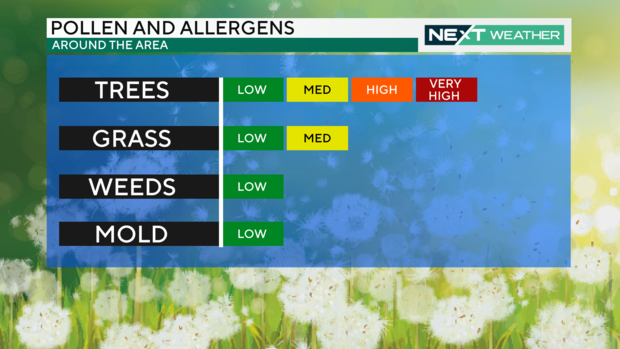 Pollen and allergy report, April 21, 2024 