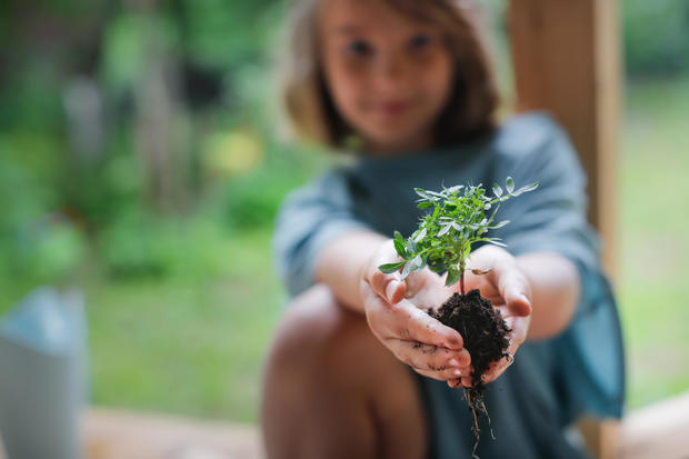 Kid holding plant with soil in hands. Environment Earth Day In the hands of plant growing seedlings. 