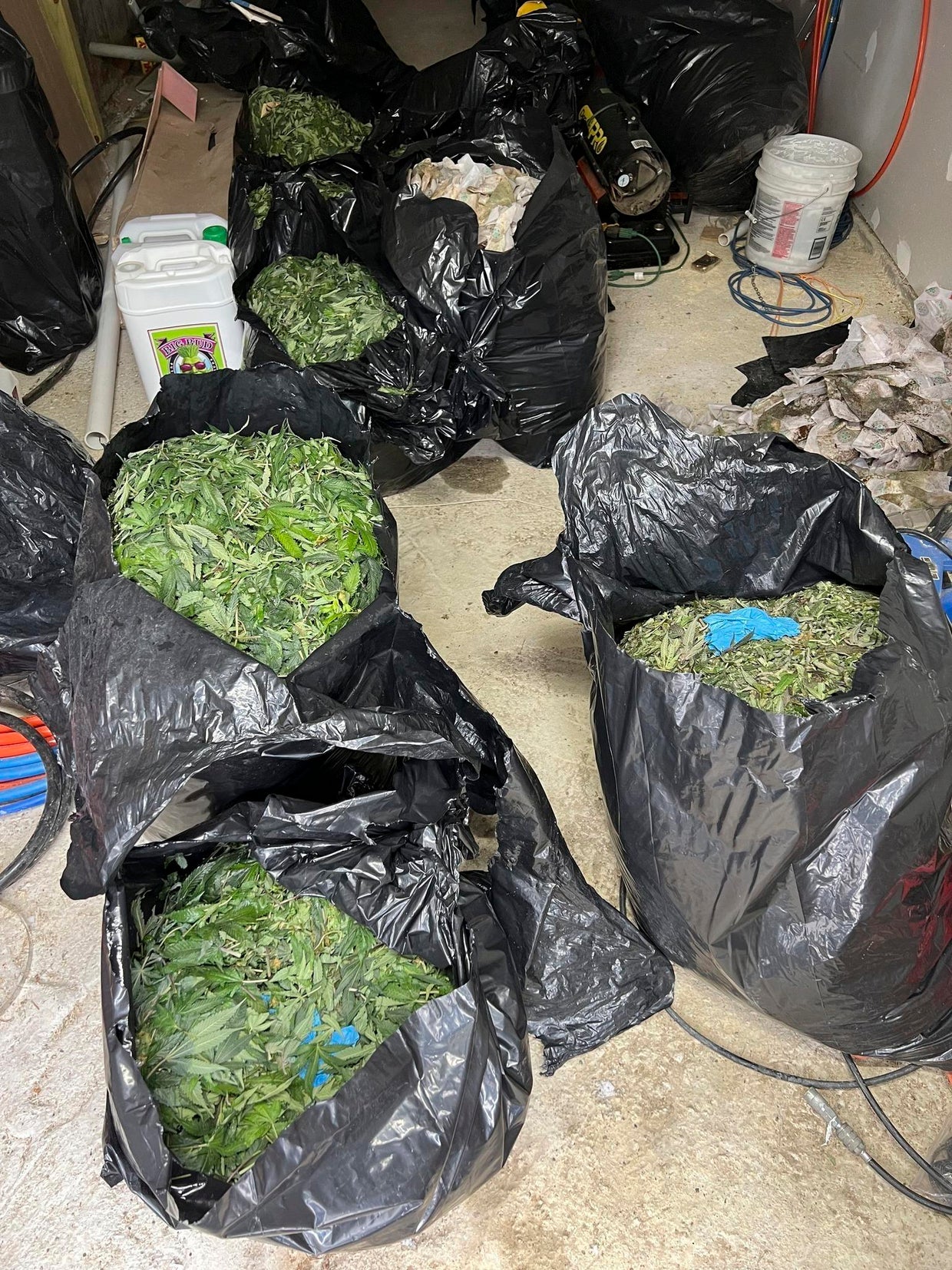 Feds bust another illegal grow house in Maine as authorities probe ...