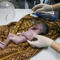 Baby saved from dying mother's womb after Israeli airstrike named in her honor