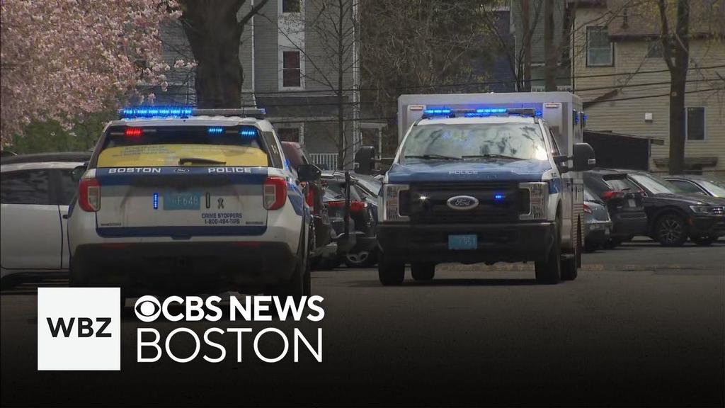 Student stabbed inside library at TechBoston Academy