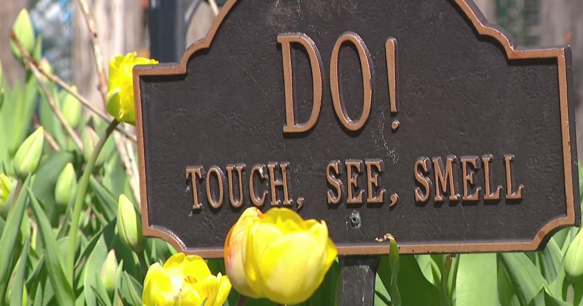Stop and smell the flowers…no really: Minneapolis home blossoms with magnificent tulips