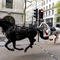 At least 4 people injured as military horses run loose in central London