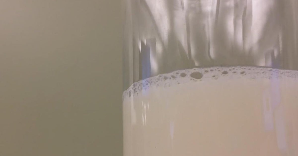 FDA finds bird flu virus in milk - CBS Texas