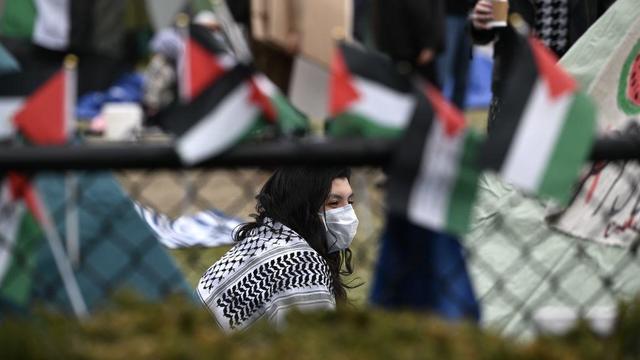 Protestors Rally For Palestine In New York's Washington Square Park 