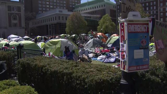 Dozens of tents erected on the Columbia University campus lawn. 