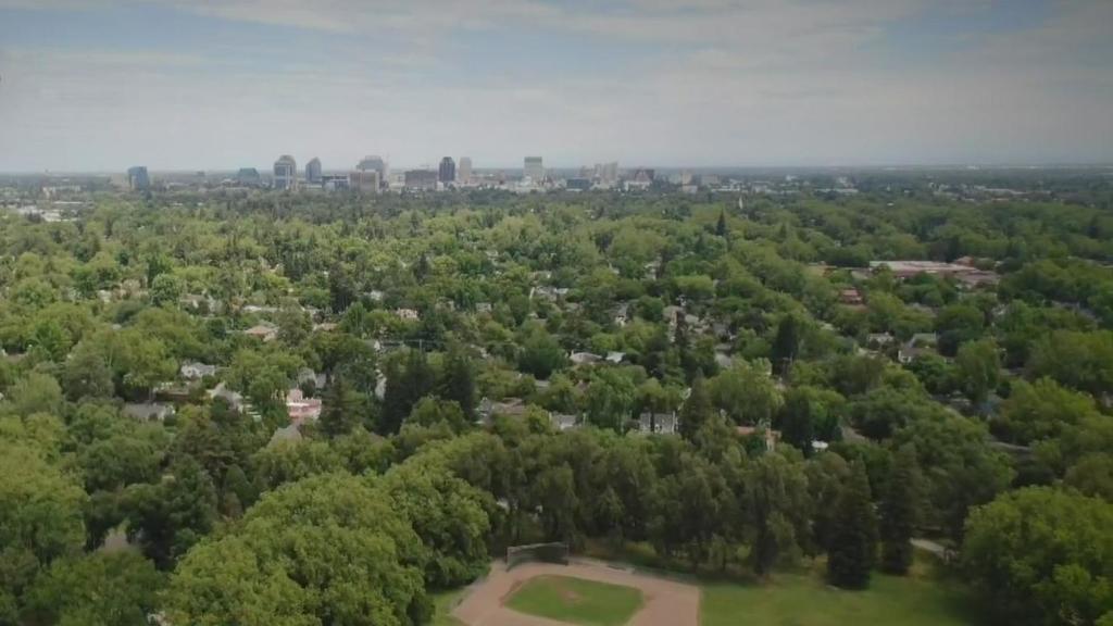 Sacramento makes new push to keep City of Trees title