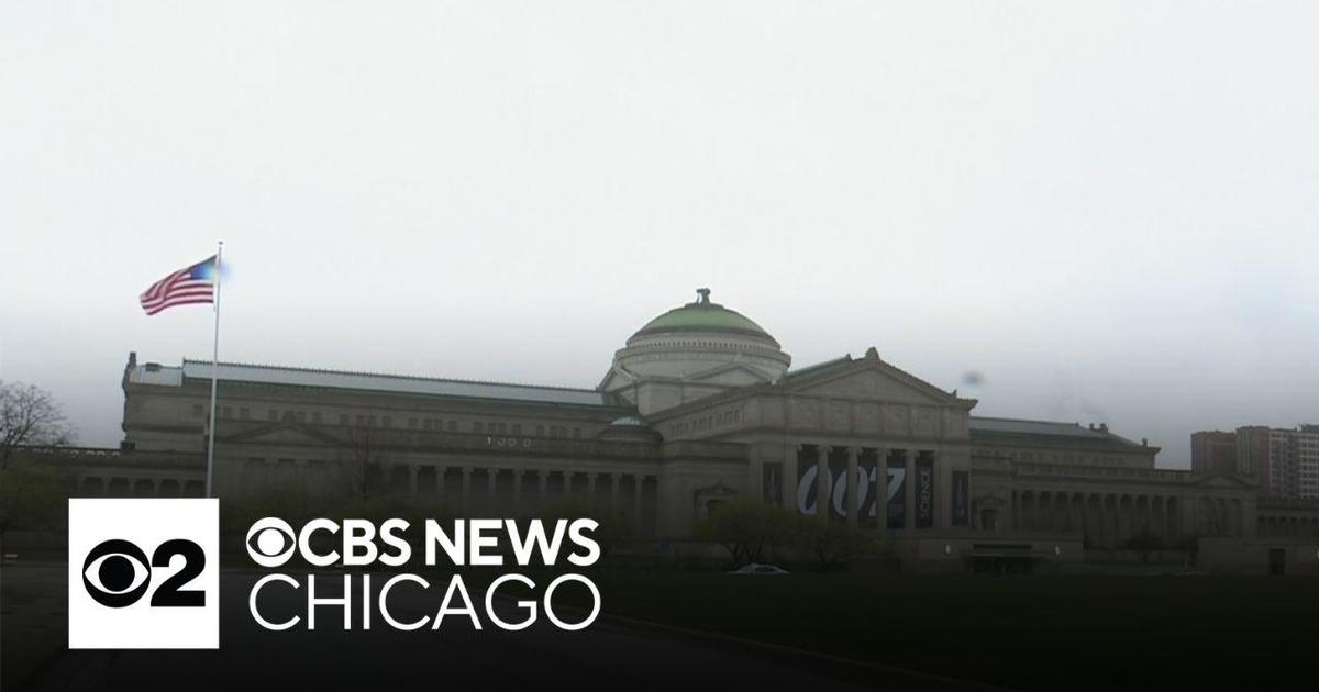 Chicago Police search for man who sexually assaulted 10-year-old girl at Museum...