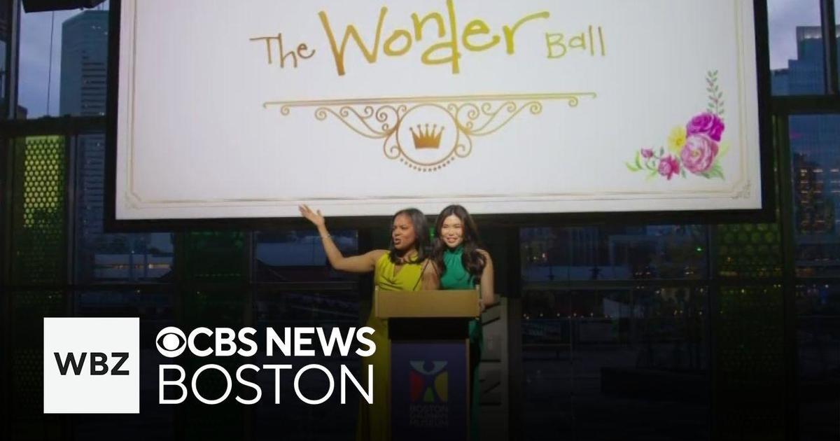 Boston Children’s Museum raises $625,000 at Wonder Ball