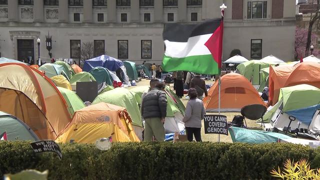 Dozens of tents set up on the lawn of Columbia University. A large Palestinian flag flies among the tents. 