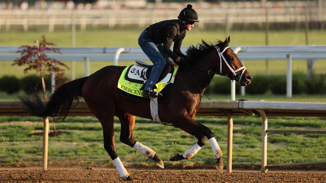  
Meet the Kentucky Derby horses running in the 2024 race 
A field of 20 horses is set to launch from the starting gate for the 2024 Kentucky Derby on Saturday. 
2H ago