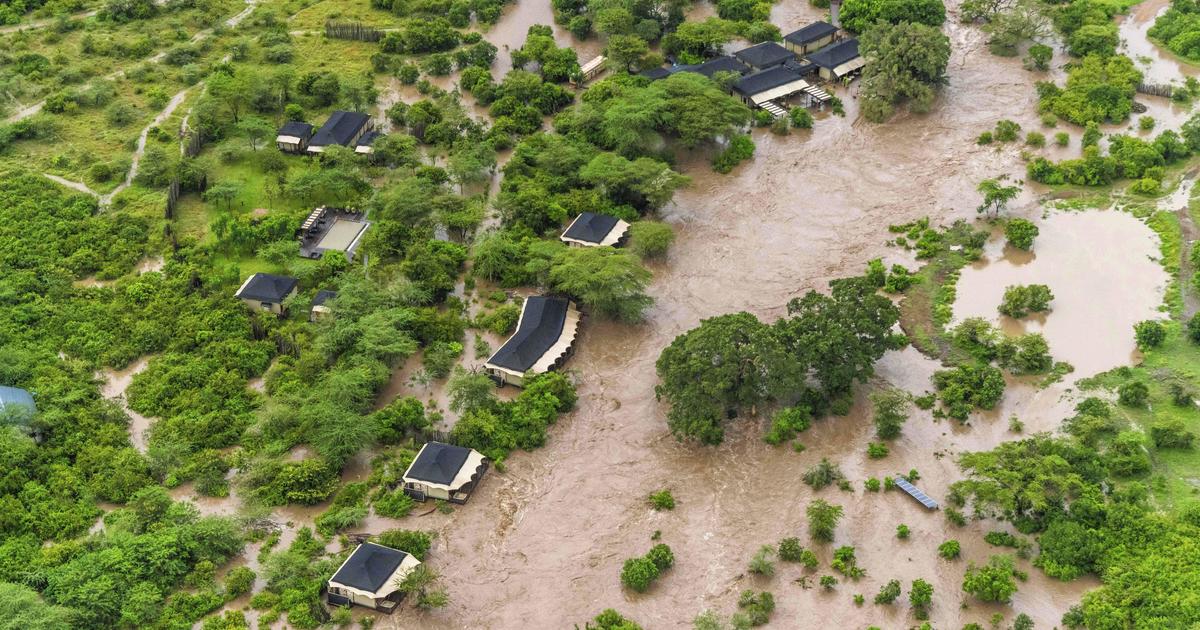 Наводнения в Кения удариха резервата за дивеч Масай Мара, като хванаха в капан туристи, които се катереха по дърветата, за да чакат спасение с хеликоптер