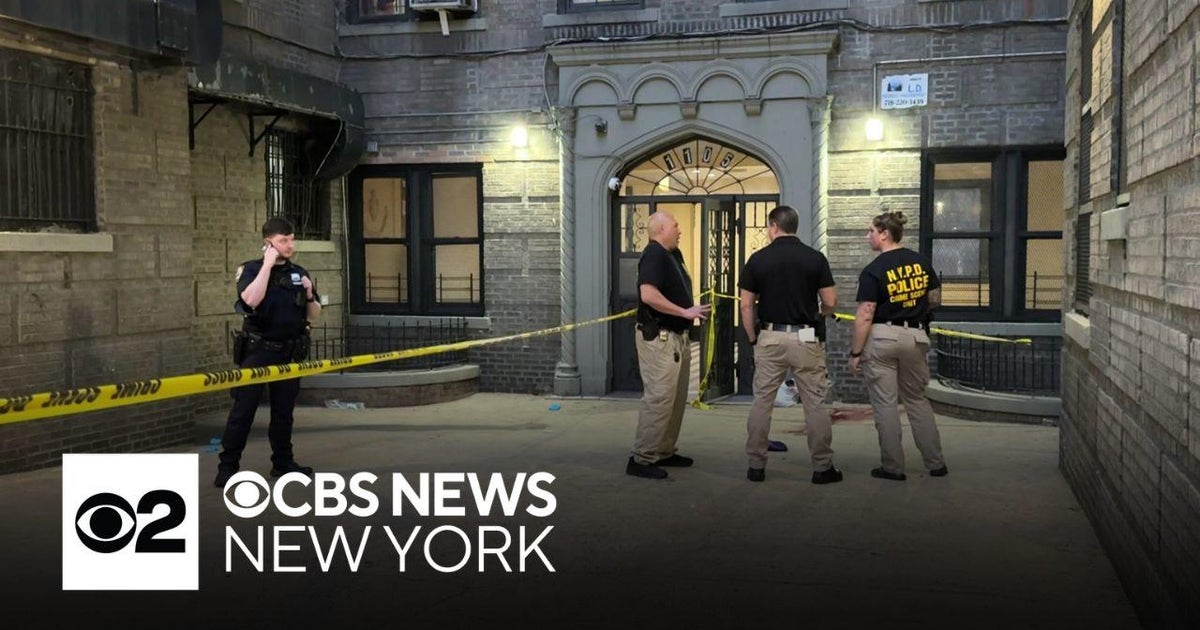 15-year-old Bronx girl charged with murder in 17-year-old girl's ...
