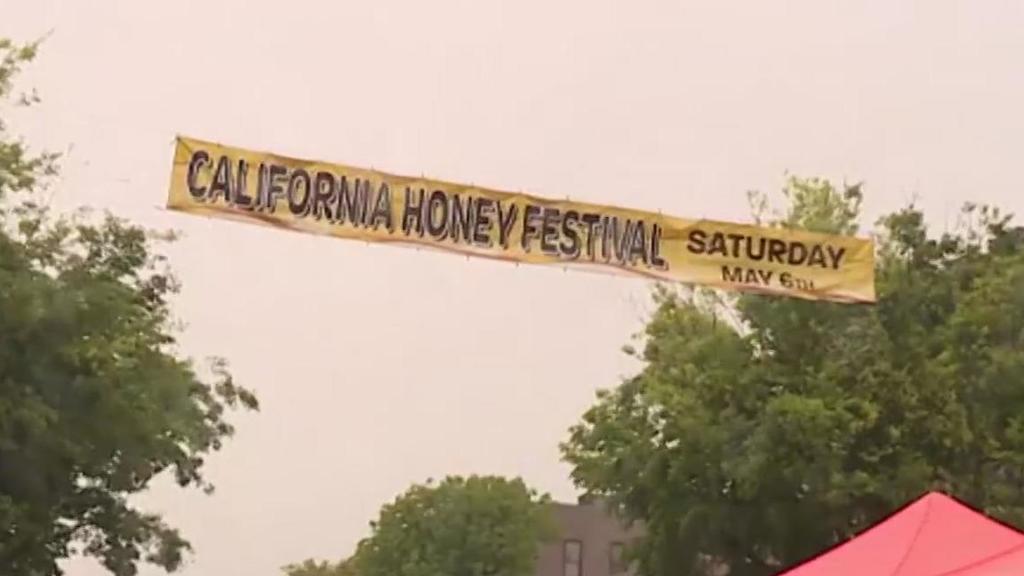 Woodland honey festival is being moved to new location