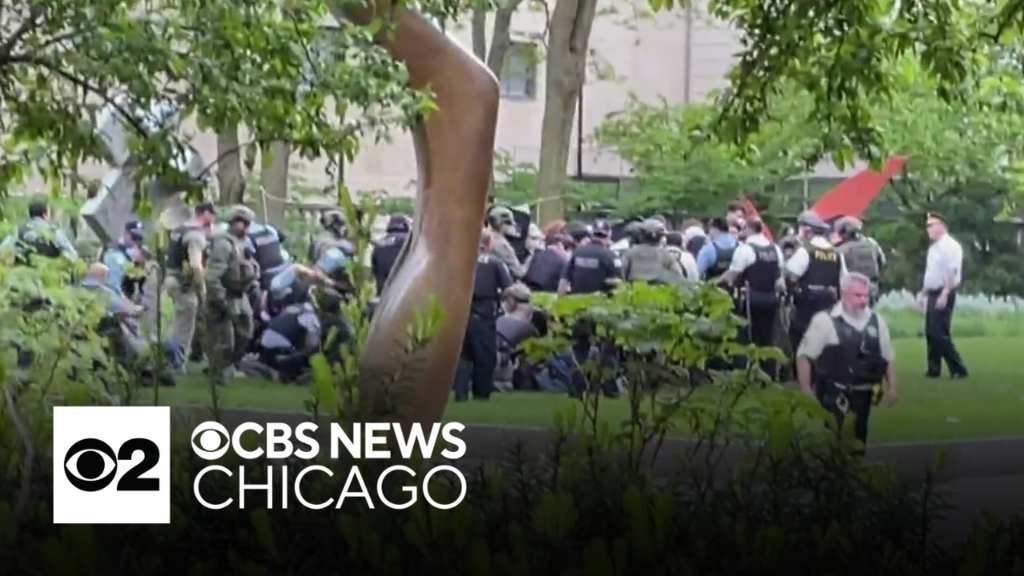 Dozens arrested during pro-Palestinian protest at Art Institute