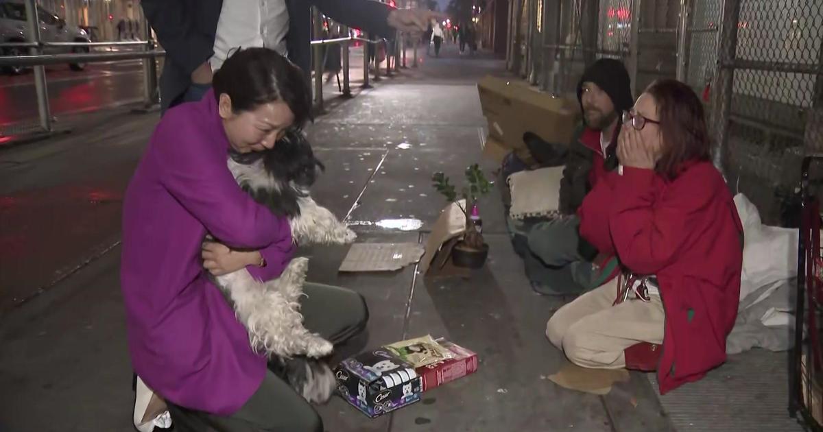 NYC family thought their dog, Panda, was stolen in Central Park and gone for good. See the surprise reunion. - CBS New York