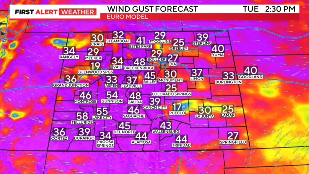 ecmwf-state-wind-gusts.png 