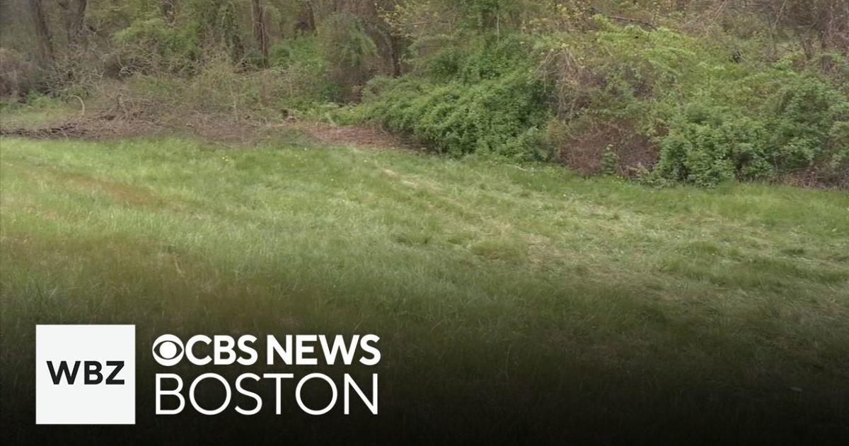 Police believe driver killed in Massachusetts crash was dragged from car by bear