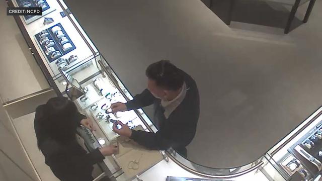 An overhead view that allegedly shows Yaorong Wan holding two watches and talking to a clerk inside a Long Island jewelry store. 