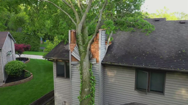 northwest-indiana-tree-into-house.png 