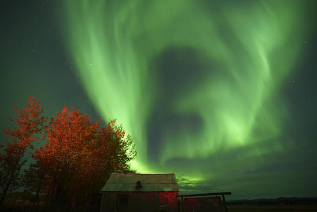 The northern lights animate the night sky on Sept. 8, 2022, in Bettles, Alaska. 