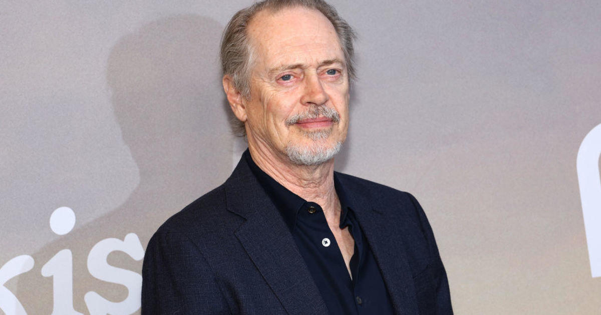 Steve Buscemi Allegedly Punched in NYC