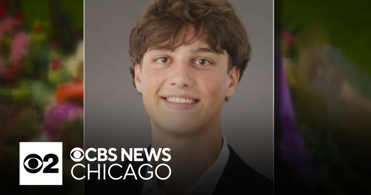 Just weeks from graduation, suburban Chicago teen killed in car crash ...