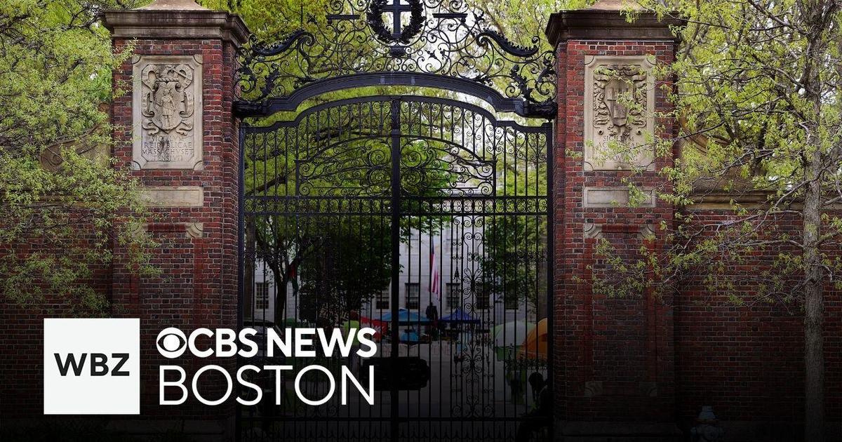 Encampment at Harvard University coming to an end - CBS Boston