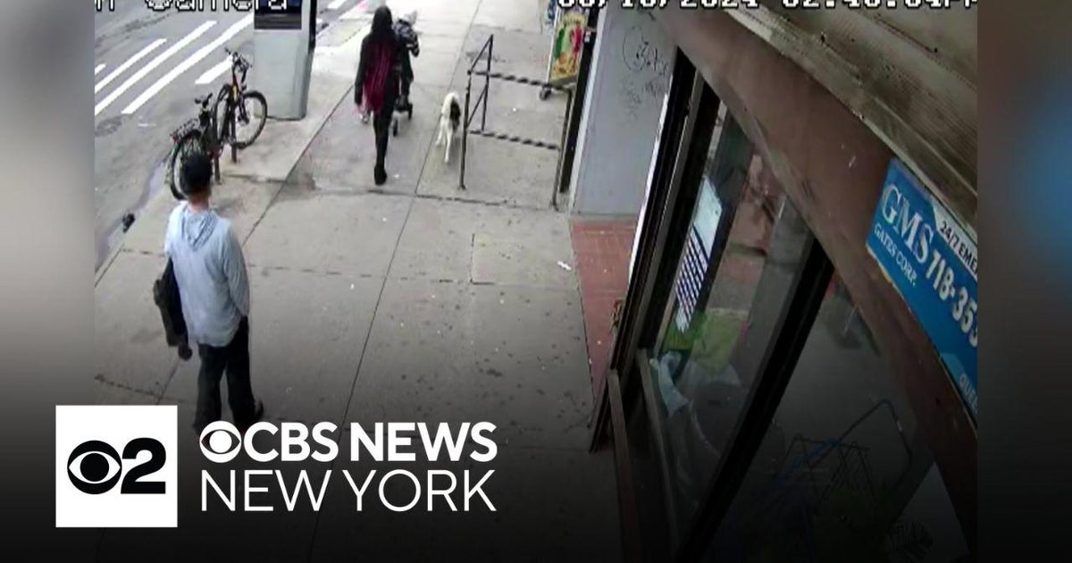 Man and woman with Husky dog sought in Queens stabbing - CBS New York