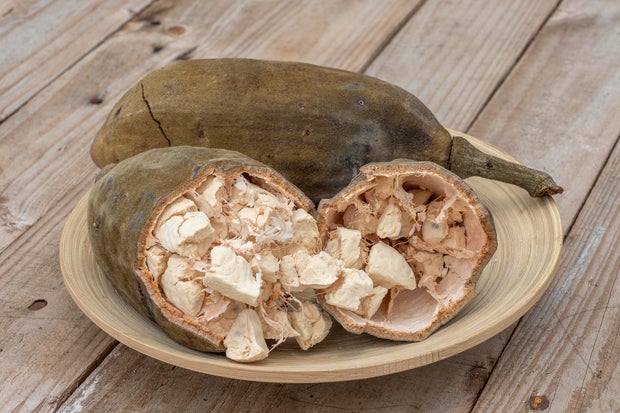 Baobab fruit or Adansonia digitata on plate, pulp and powder, superfood on the island of Zanzibar, Tanzania, east Africa