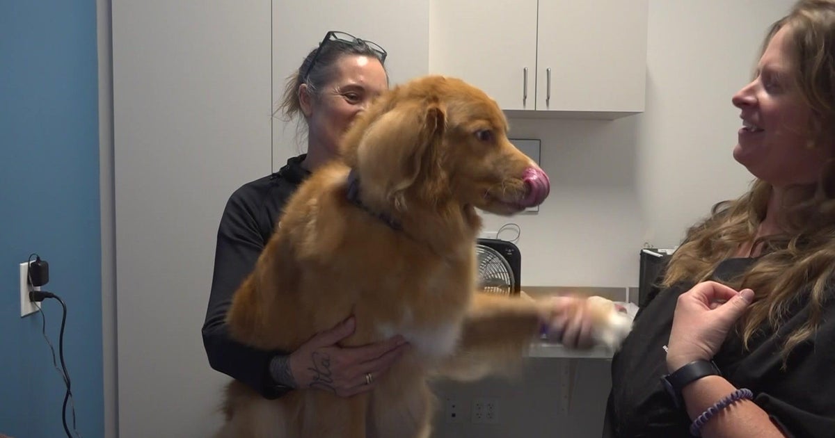 Canine blood bank opens in El Dorado Hills