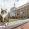 College honors popular campus cat with "doctor of litter-ature" degree