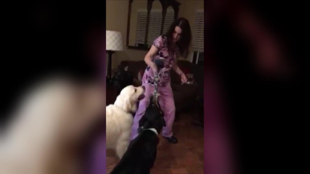 Susann Sills playing with dogs